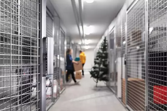 Property protection 2